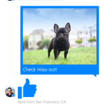 Muestra una conversación en Facebook Messenger para Windows Phone